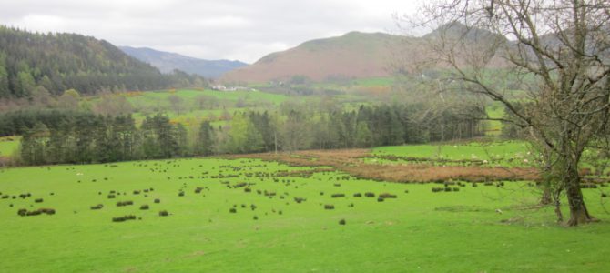 A Digital Detox in the Lake District A Digital Detox in the Lake District
