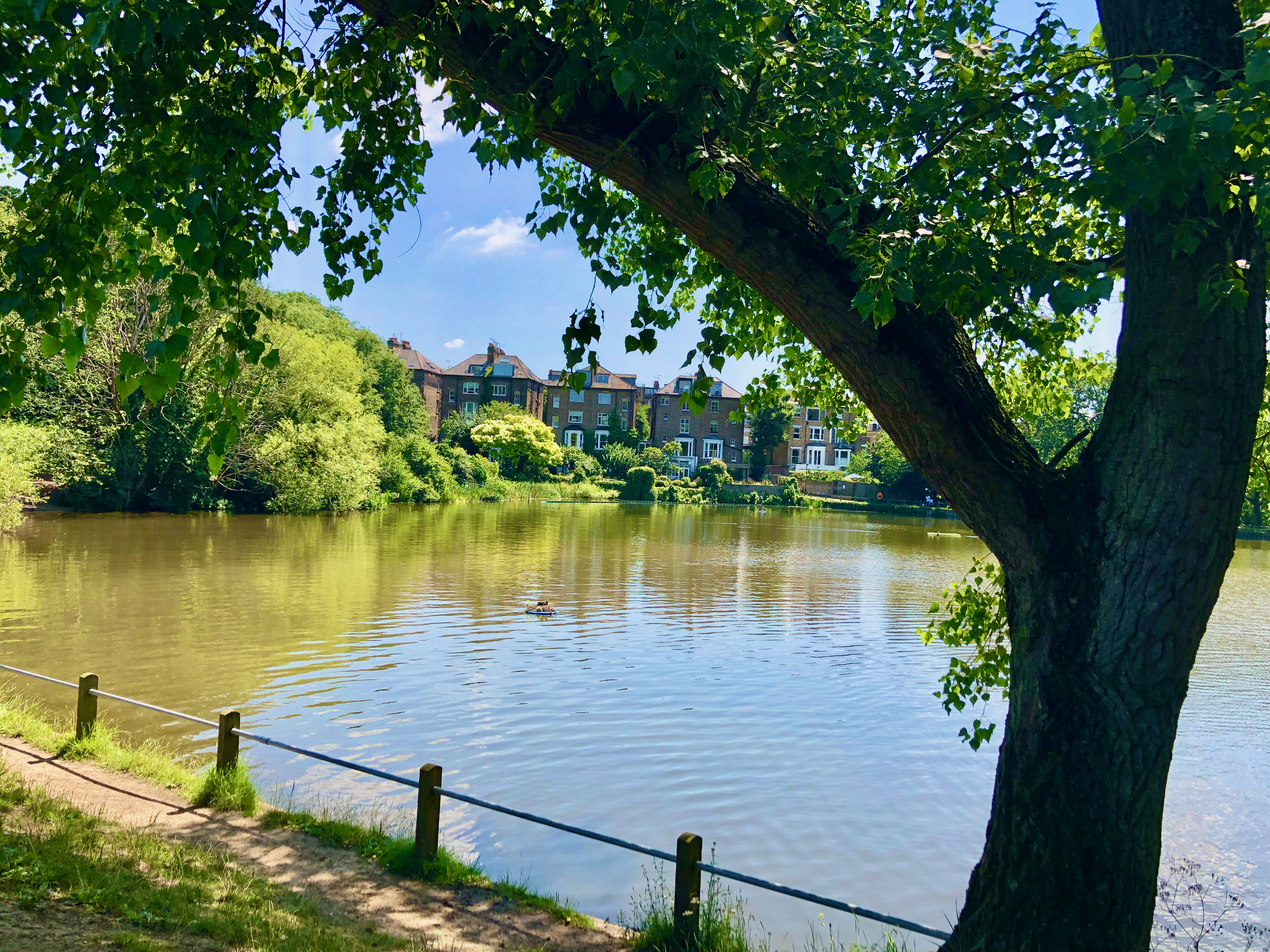 heampstead heath pond