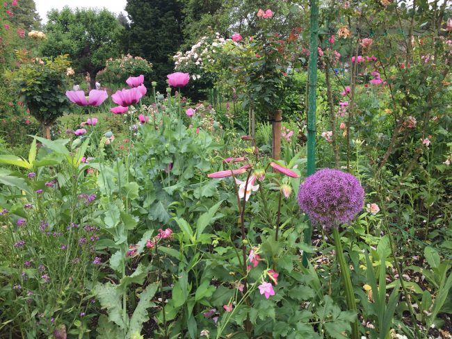 giverny