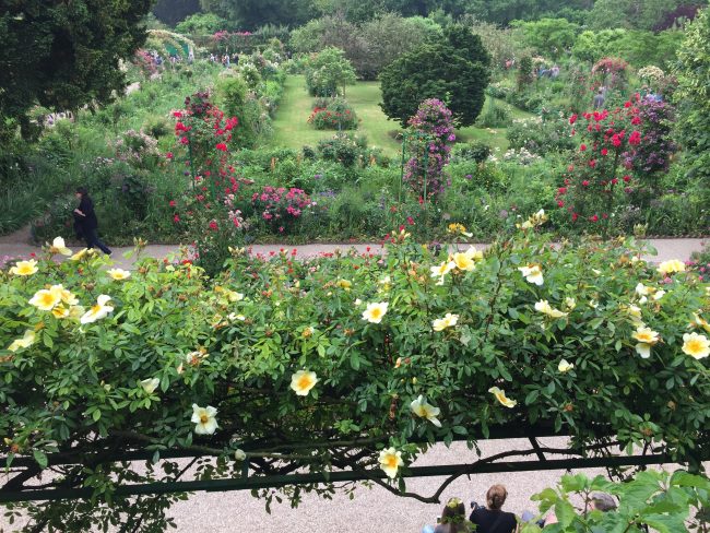 giverny