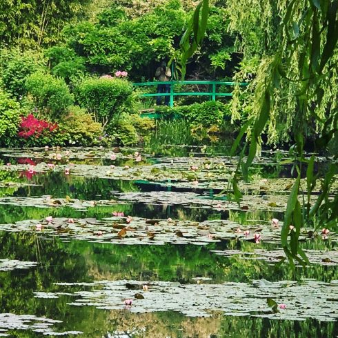 lily pool foundation claude monet