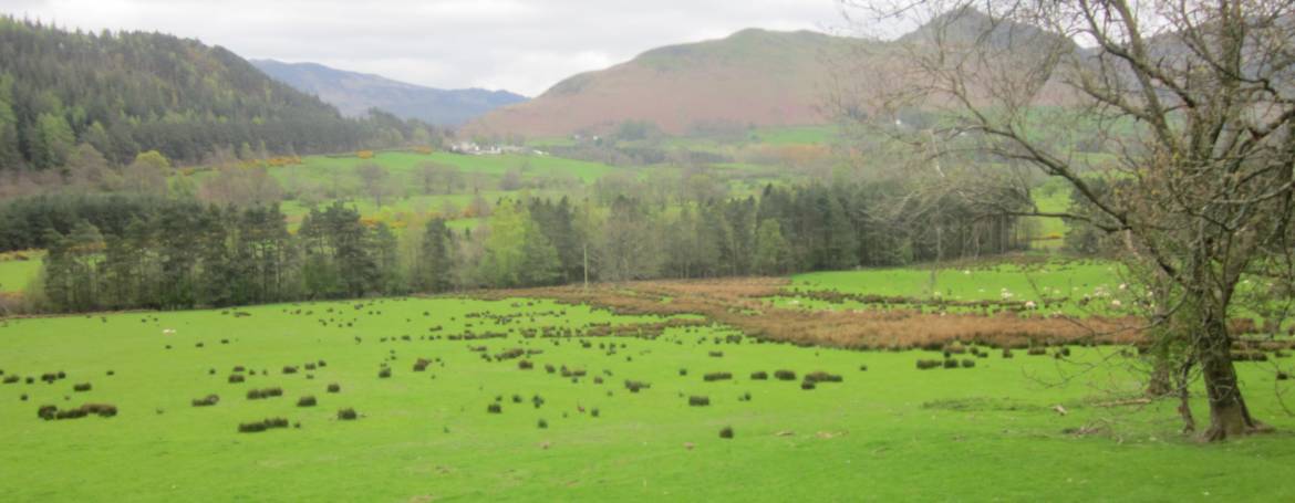 A Digital Detox in the Lake District