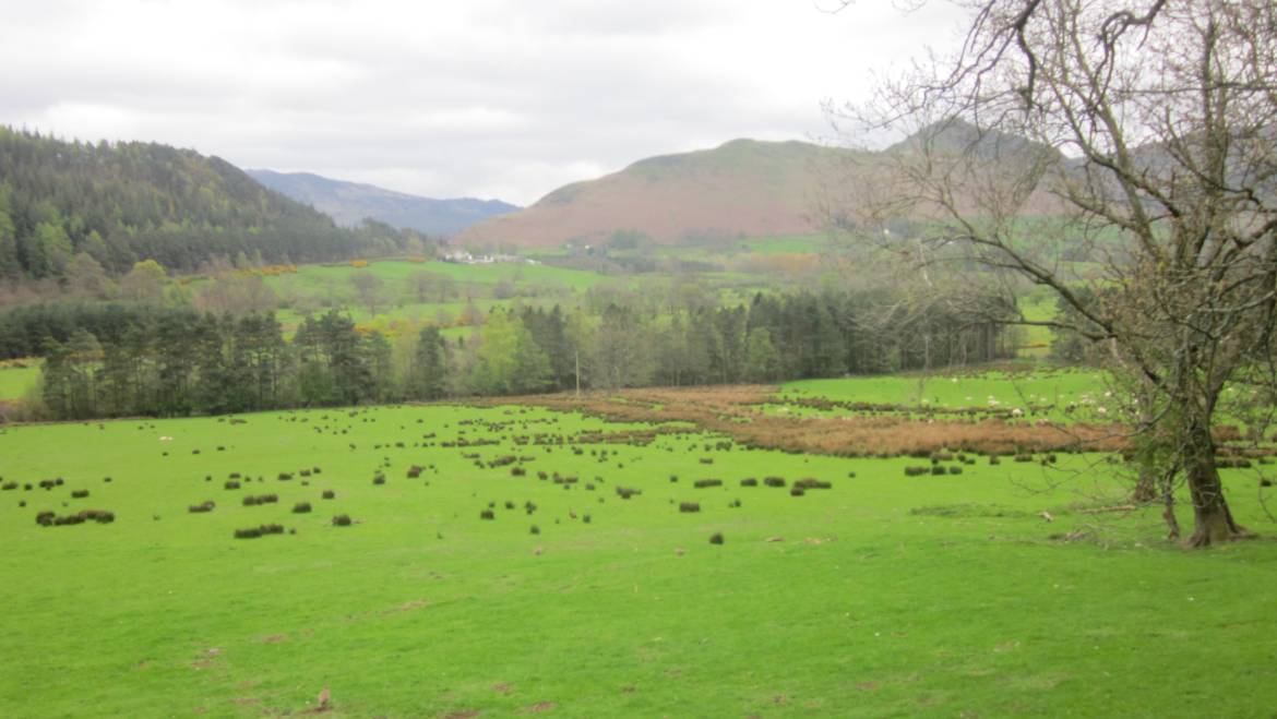 A Digital Detox in the Lake District