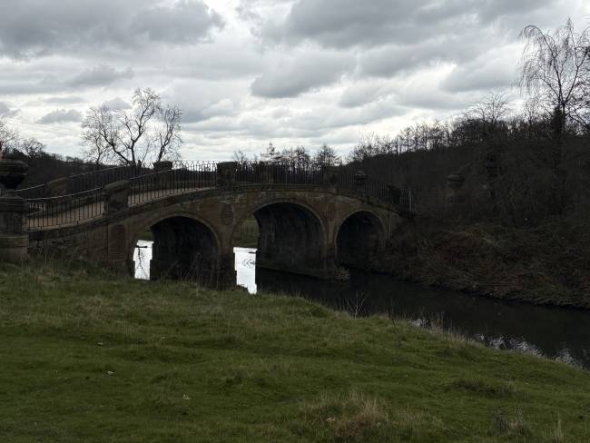 bridge ysp