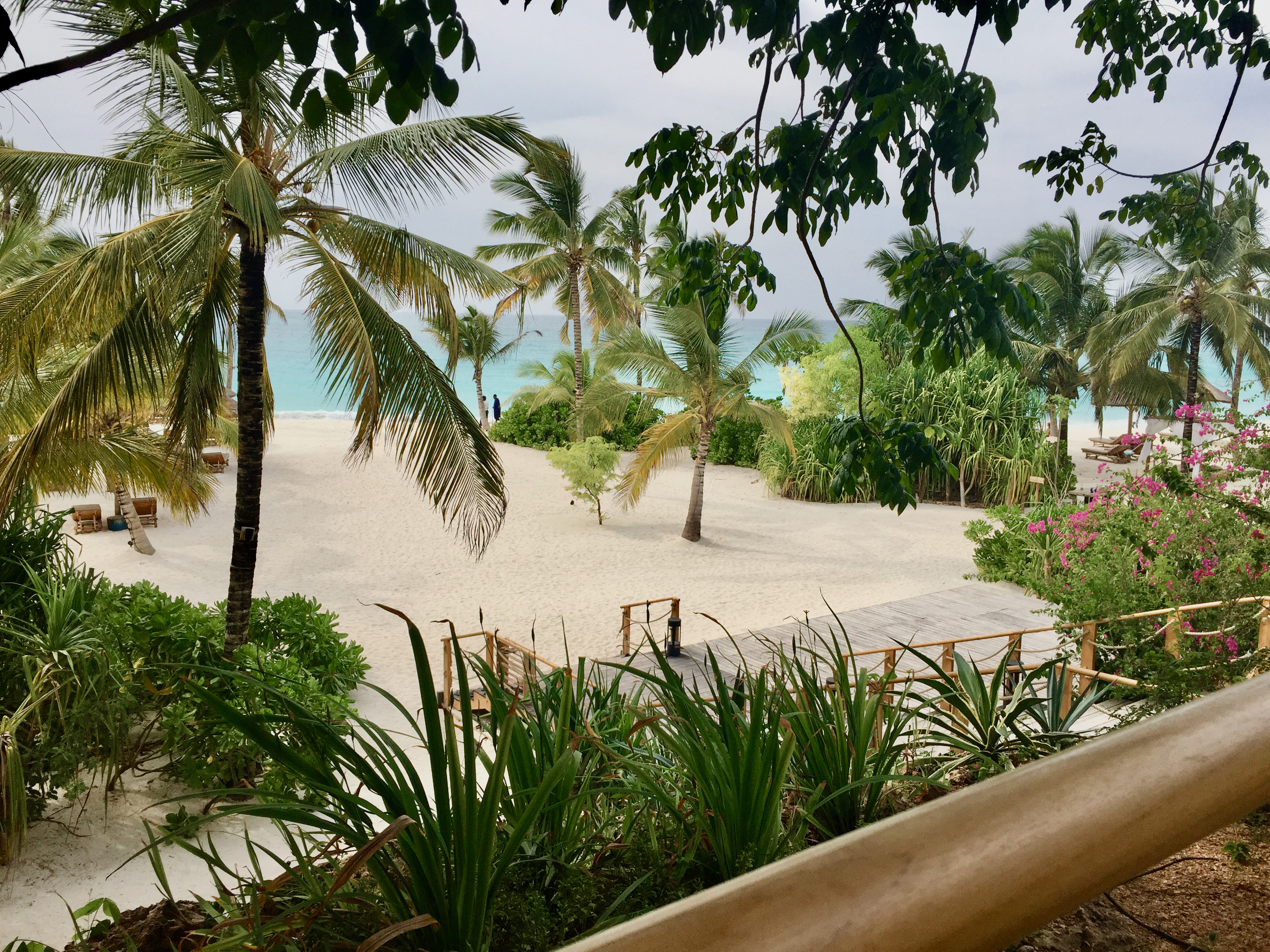 zuri_zanzibar